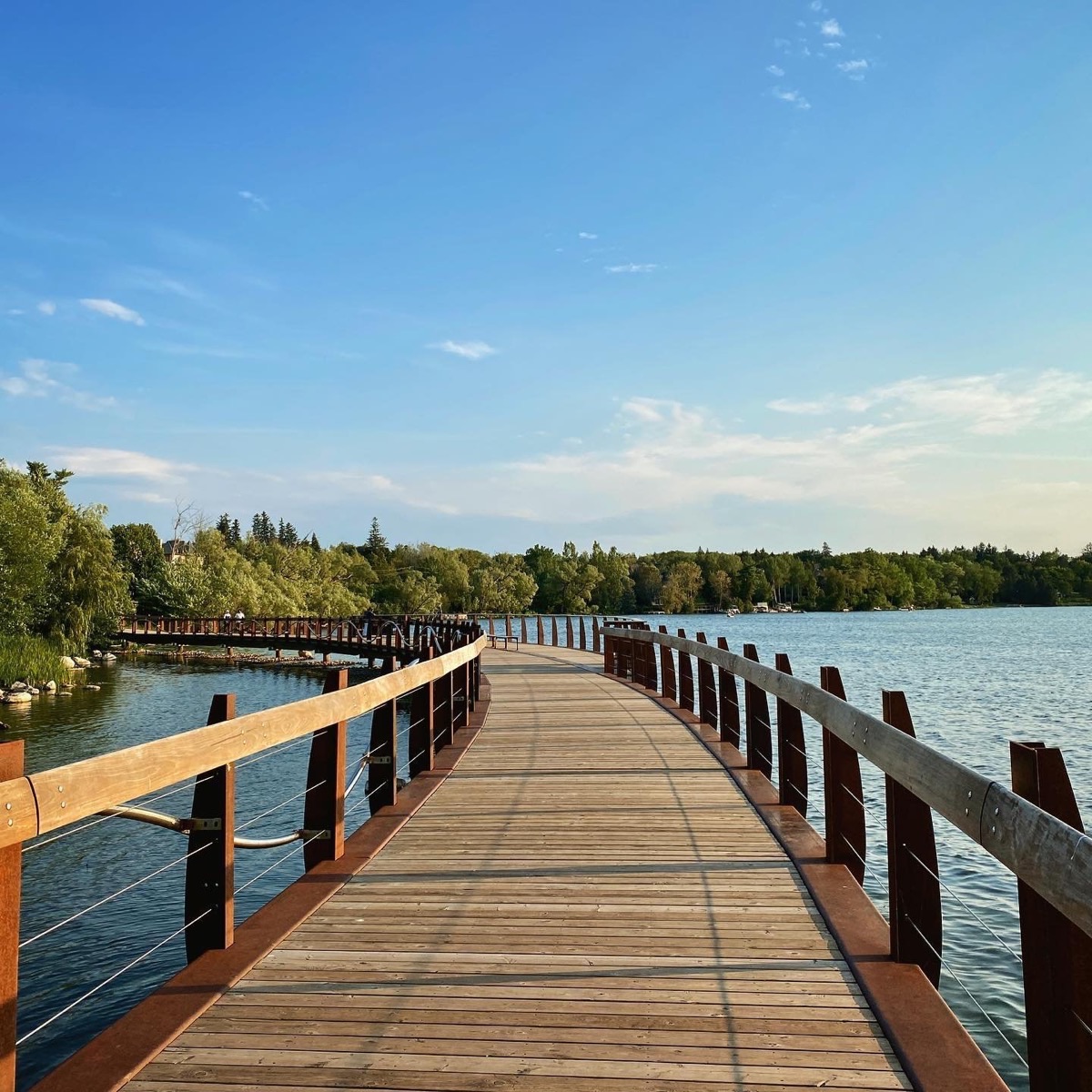 The boardwalk winding over Lake Wilcox in Oak Ridges
